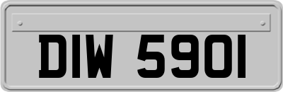 DIW5901