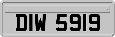 DIW5919