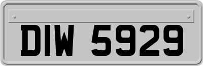 DIW5929