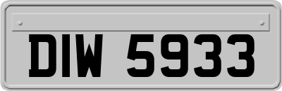 DIW5933
