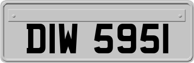 DIW5951