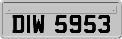 DIW5953