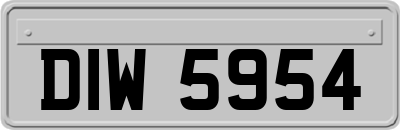 DIW5954