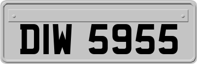 DIW5955