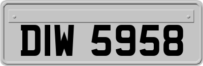 DIW5958