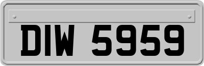 DIW5959