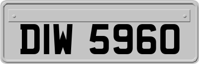 DIW5960