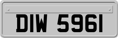 DIW5961
