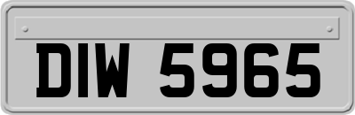 DIW5965