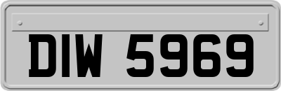 DIW5969