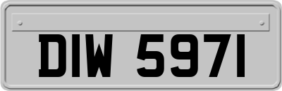 DIW5971