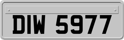 DIW5977