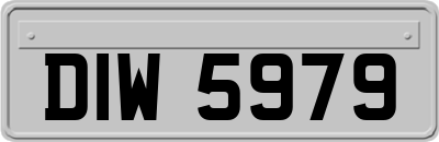 DIW5979