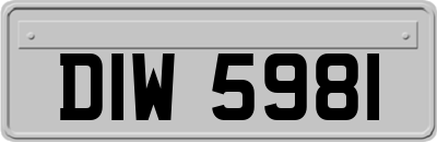 DIW5981