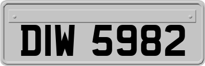 DIW5982