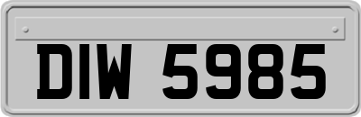 DIW5985