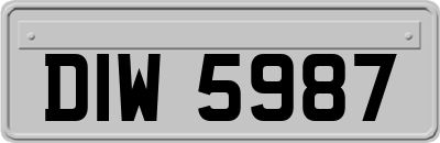 DIW5987