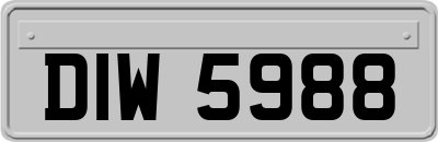 DIW5988