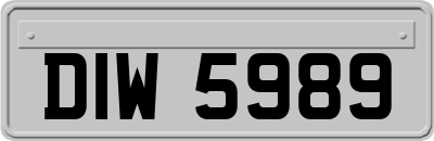 DIW5989