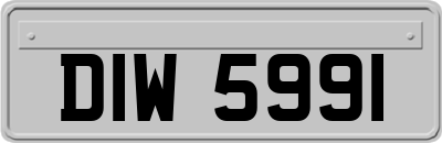 DIW5991
