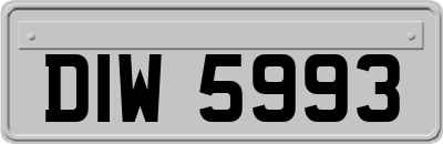 DIW5993