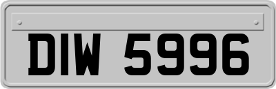 DIW5996