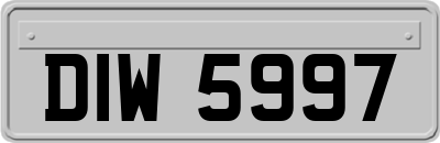 DIW5997