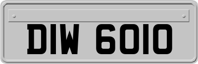 DIW6010