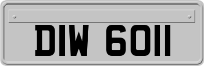DIW6011