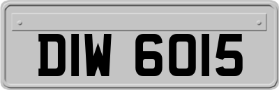 DIW6015