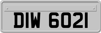 DIW6021