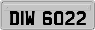 DIW6022