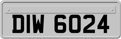 DIW6024