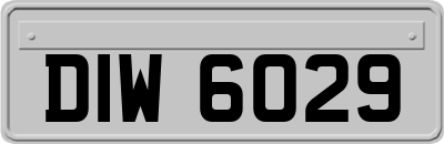 DIW6029