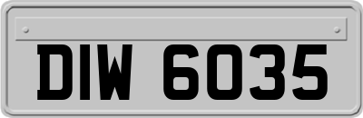 DIW6035