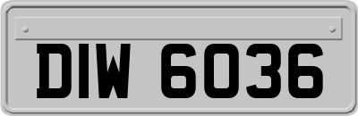 DIW6036