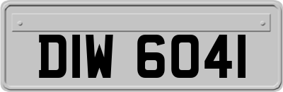 DIW6041