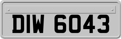 DIW6043