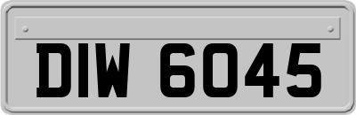 DIW6045
