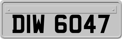 DIW6047