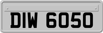 DIW6050