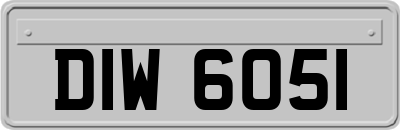 DIW6051