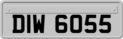 DIW6055