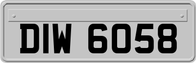 DIW6058
