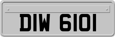 DIW6101