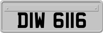 DIW6116