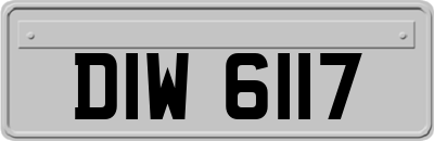 DIW6117
