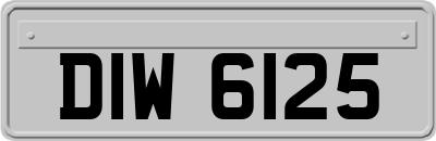 DIW6125