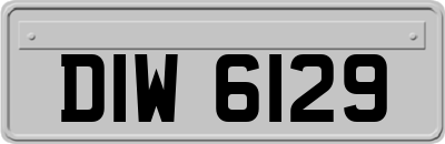 DIW6129