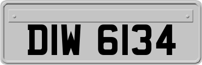 DIW6134